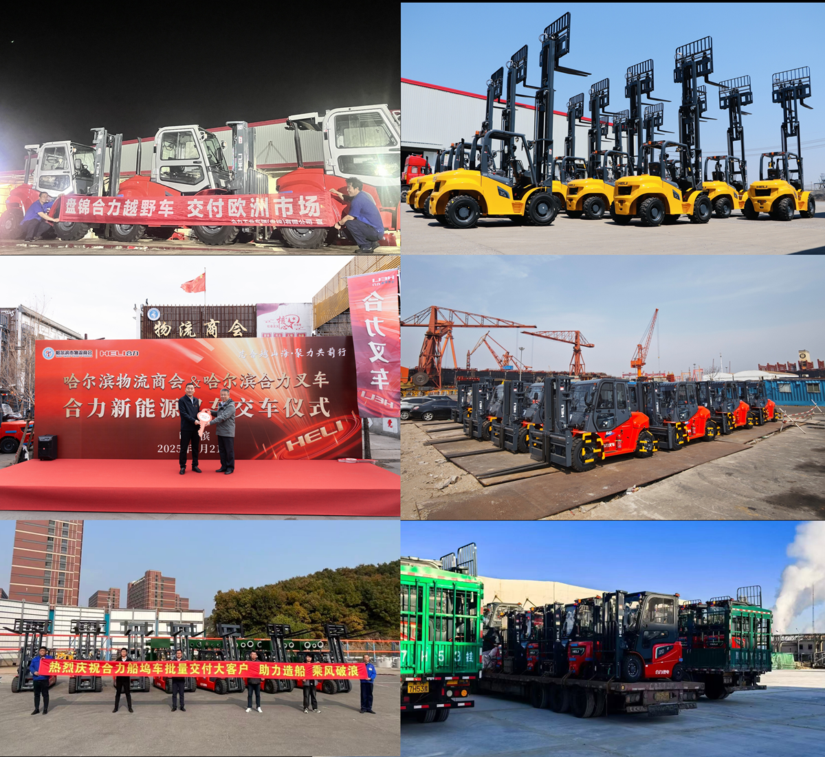 10.国内外客户定制车型批量交付市场1.png